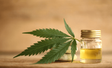 How Long Do the Effects of Cbd Oil Last