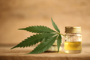 How Long Do the Effects of Cbd Oil Last