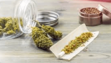 What Is the Difference Between Cbd Cbg and Cbn