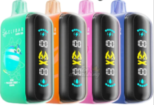 ELF BAR 25000 PUFFS DISPOSABLE VAPE – EXTENDED ENJOYMENT, MODERN DESIGN: