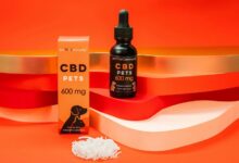 administering cbd oil cats