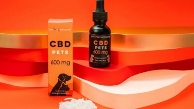 administering cbd oil cats