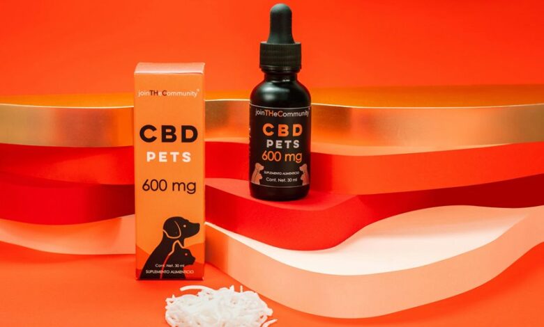 administering cbd oil cats