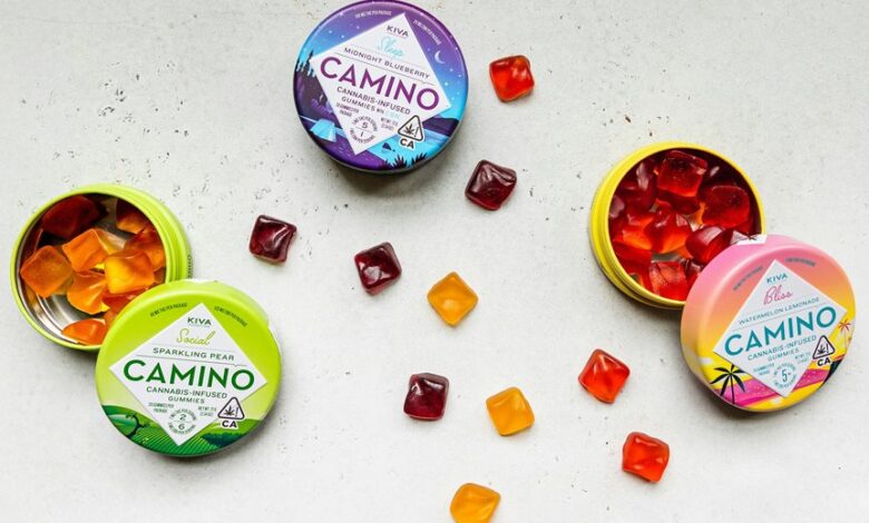 cannabidiol infused gummy candies