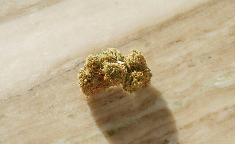 cbd content in cannabis