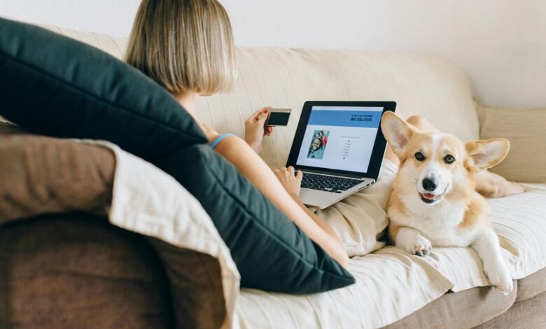cbd for pets purchase locations