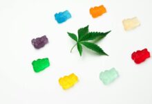 cbd gummies are edibles
