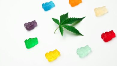 cbd gummies are edibles