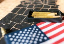 cbd legality varies by state