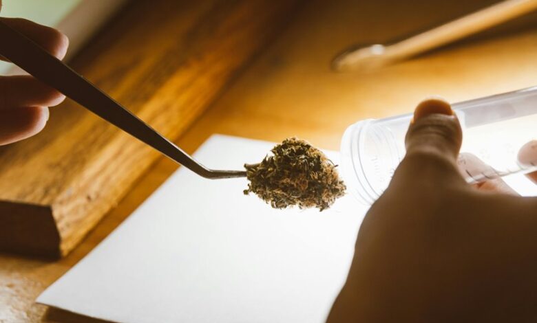cbd lotion drug testing