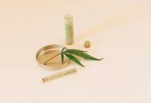 cbd oil dosage for dogs