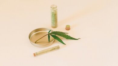 cbd oil dosage for dogs
