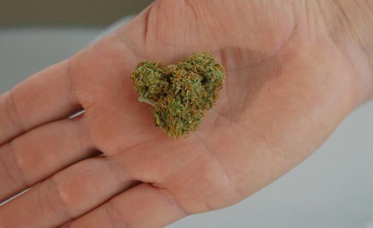 cbd s adaptogenic properties debated