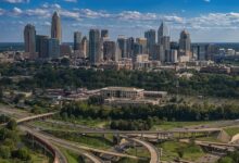 charlotte s cbd hemp extract