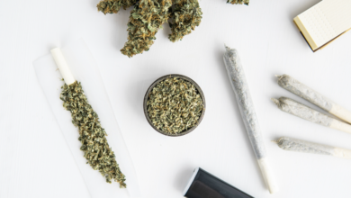 Dispensary Internet Growth with a Cannabis Marketing Agency