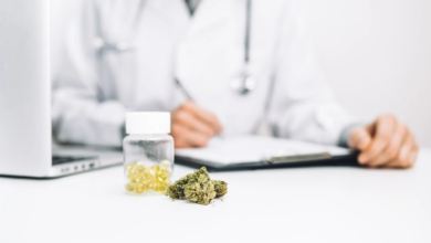 What To Know Before Considering Cannabis for Epilepsy Management