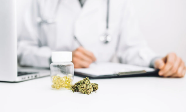 What To Know Before Considering Cannabis for Epilepsy Management